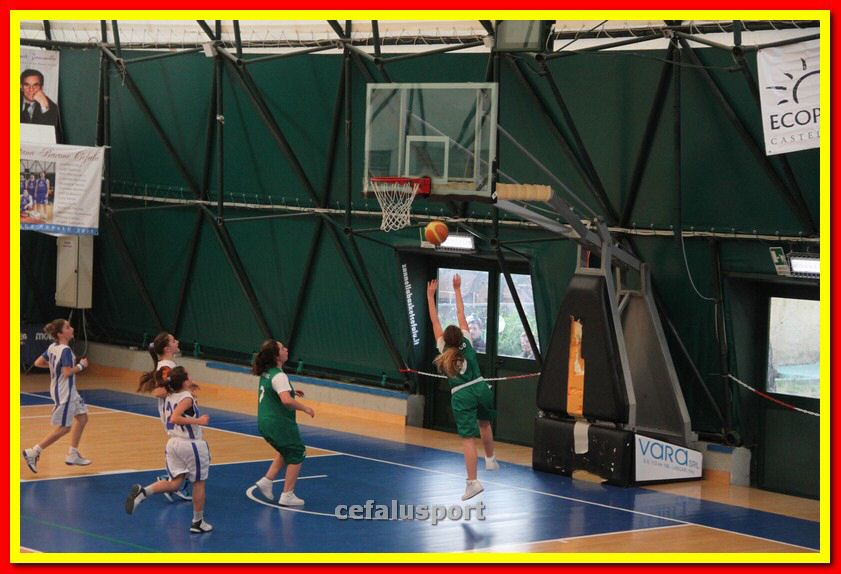 140301 GM_basket 203_tn.jpg